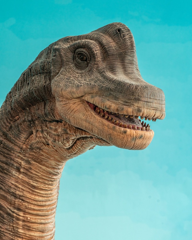 Discover the island of Saurus Coffee & Gallery, a unique dinosaur cafe in Saigon 4