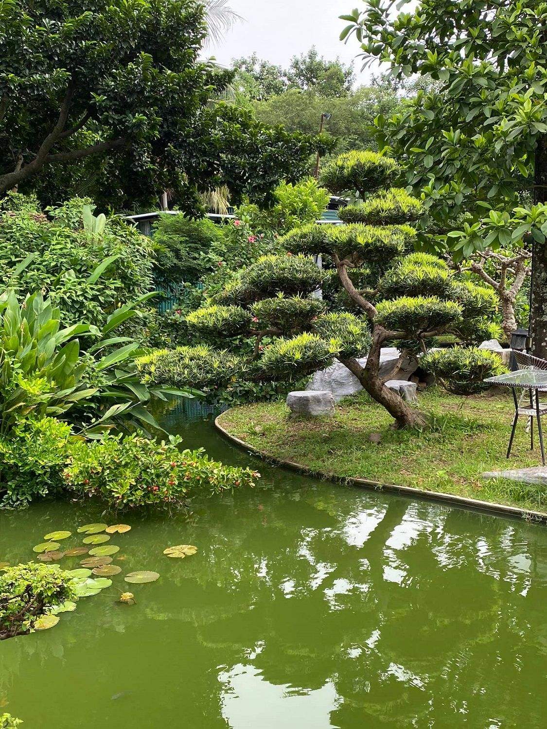 SoftWater Restaurant - Lost in a peaceful place in the heart of a crowded city 2
