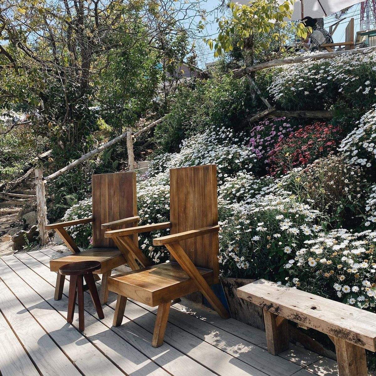 Collection of amazing photo sets with beautiful cafes in Da Lat 3