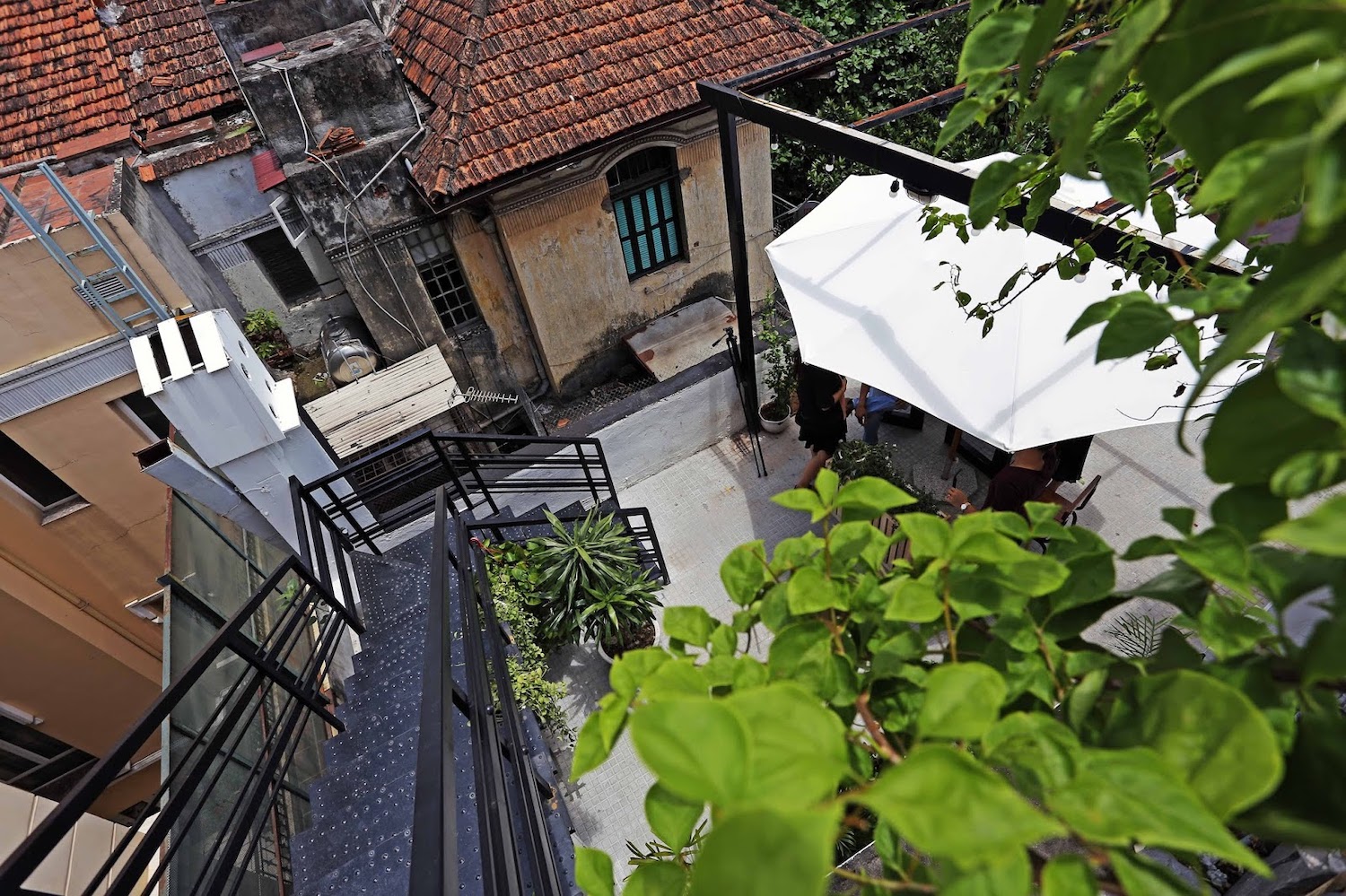 Tam Tac compliments Salmonoid restaurant with European dishes specializing in salmon in Hanoi 8