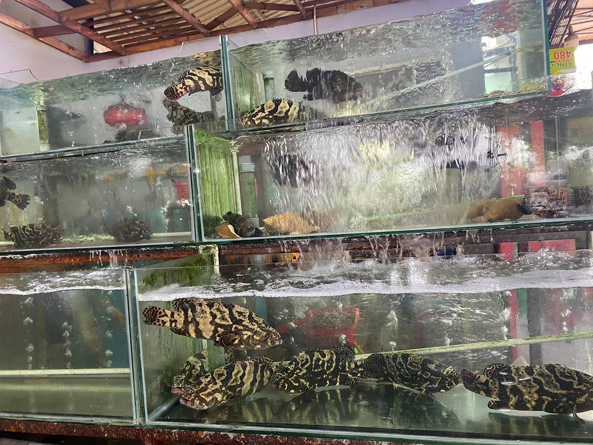 Enjoy coastal cuisine with 10 fresh seafood restaurants in Da Nang 6