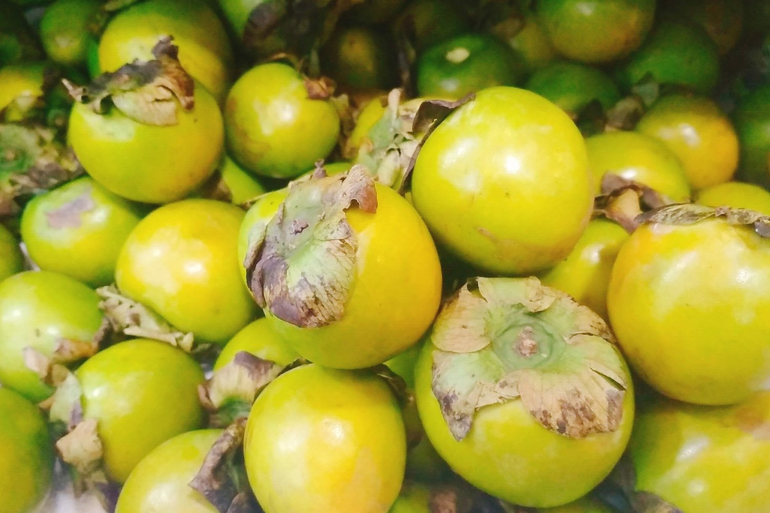 All delicious dishes from Da Lat persimmons 4
