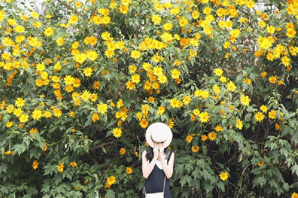 All experiences in hunting wildflowers in Ba Vi 12