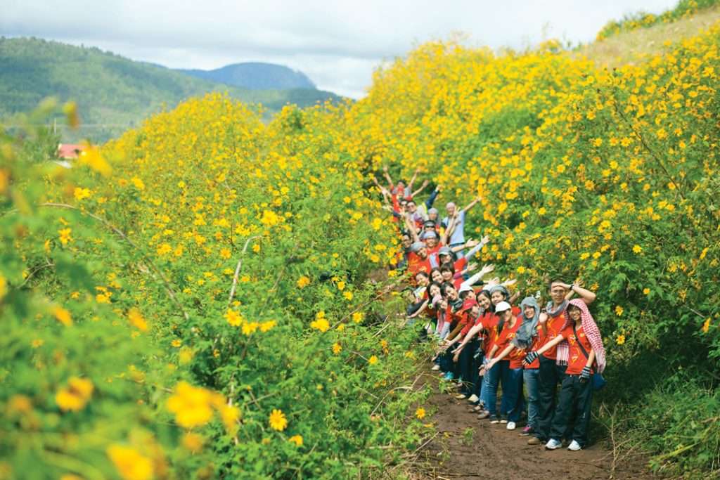 All experiences in hunting wildflowers in Ba Vi 8