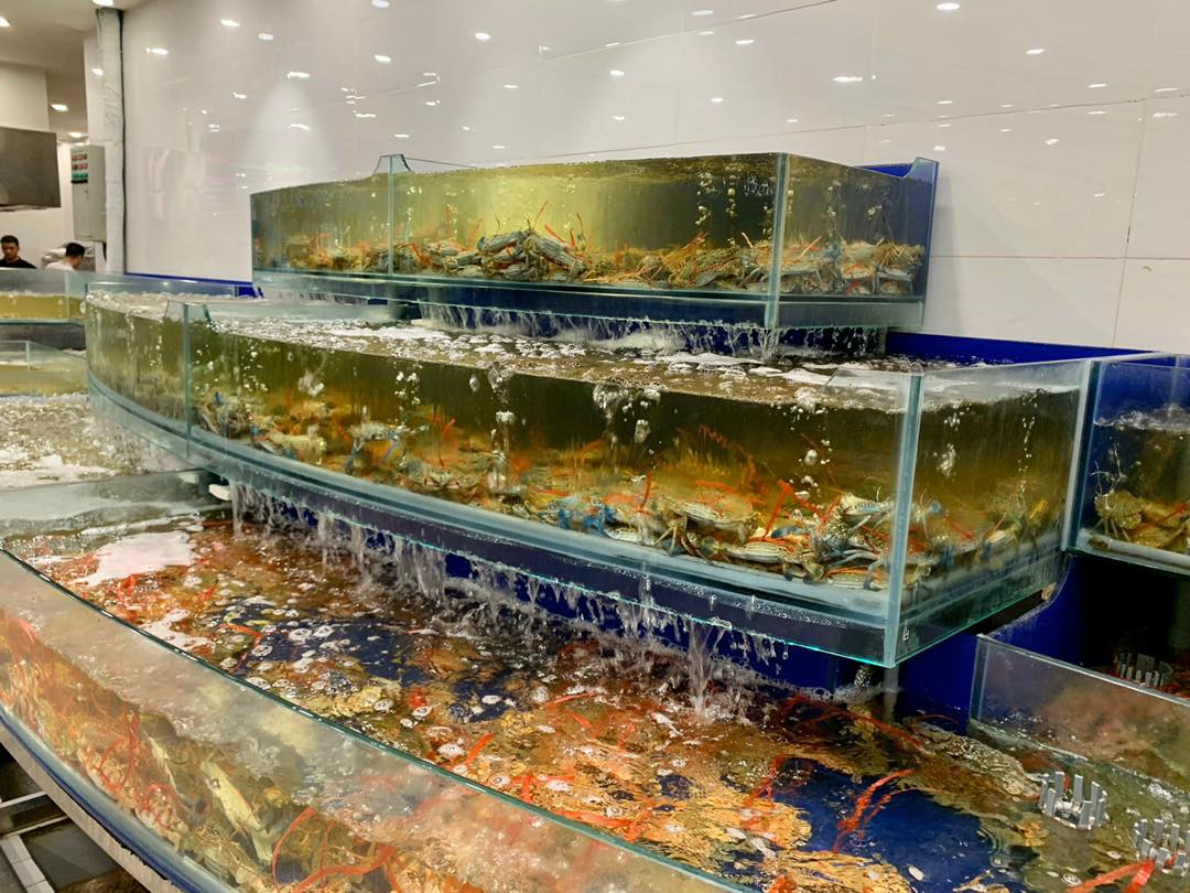 Enjoy delicious seafood at Buffet Poseidon Hanoi 16 restaurant