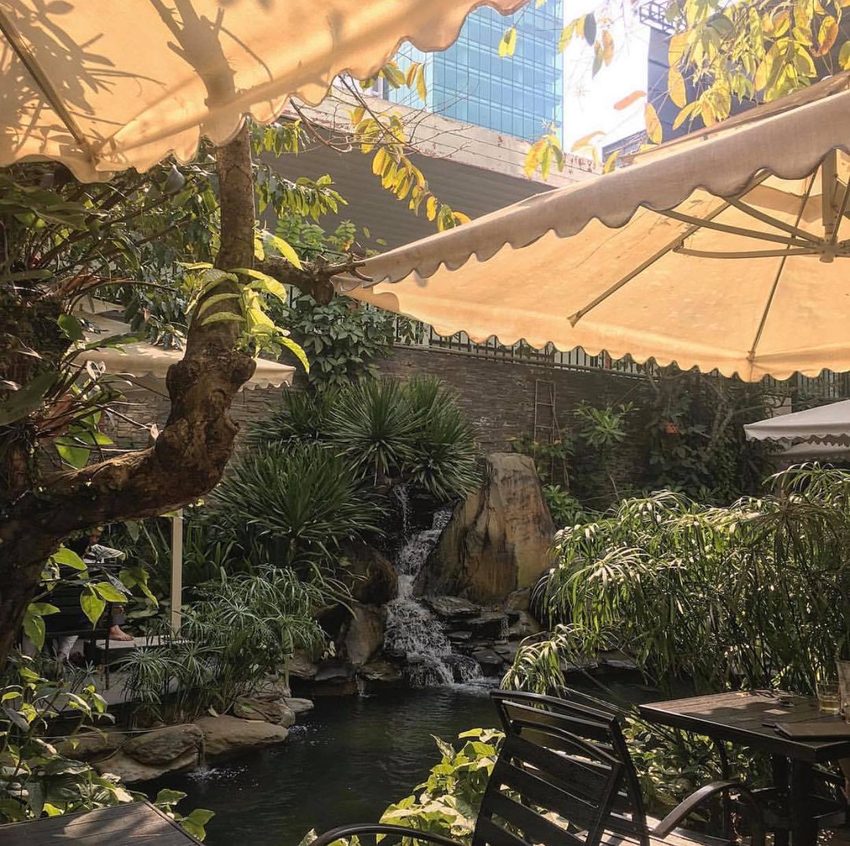 The Garden House Da Nang - Explore the green garden in the heart of Da Nang 6