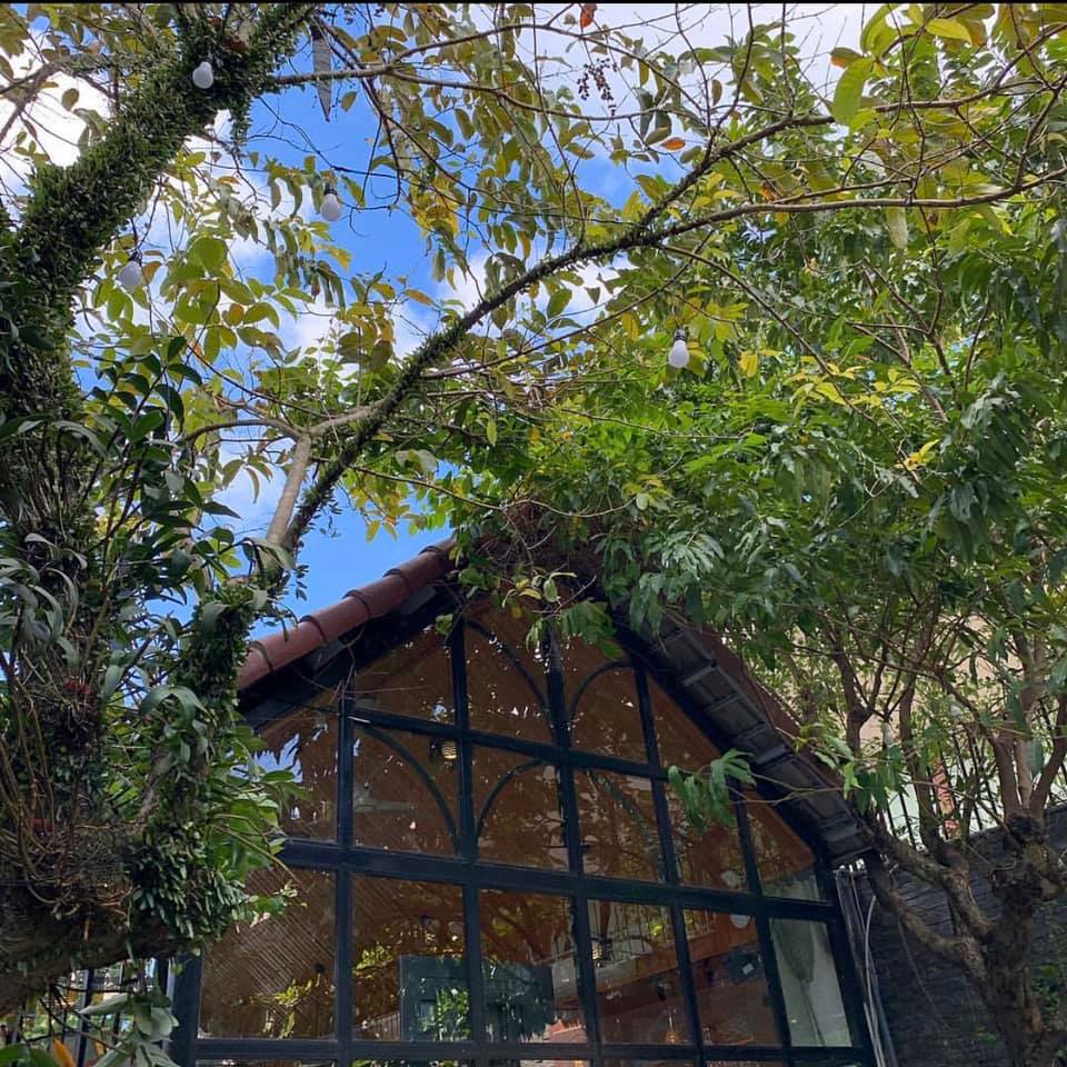 The Garden House Da Nang - Explore the green garden in the heart of Da Nang 7