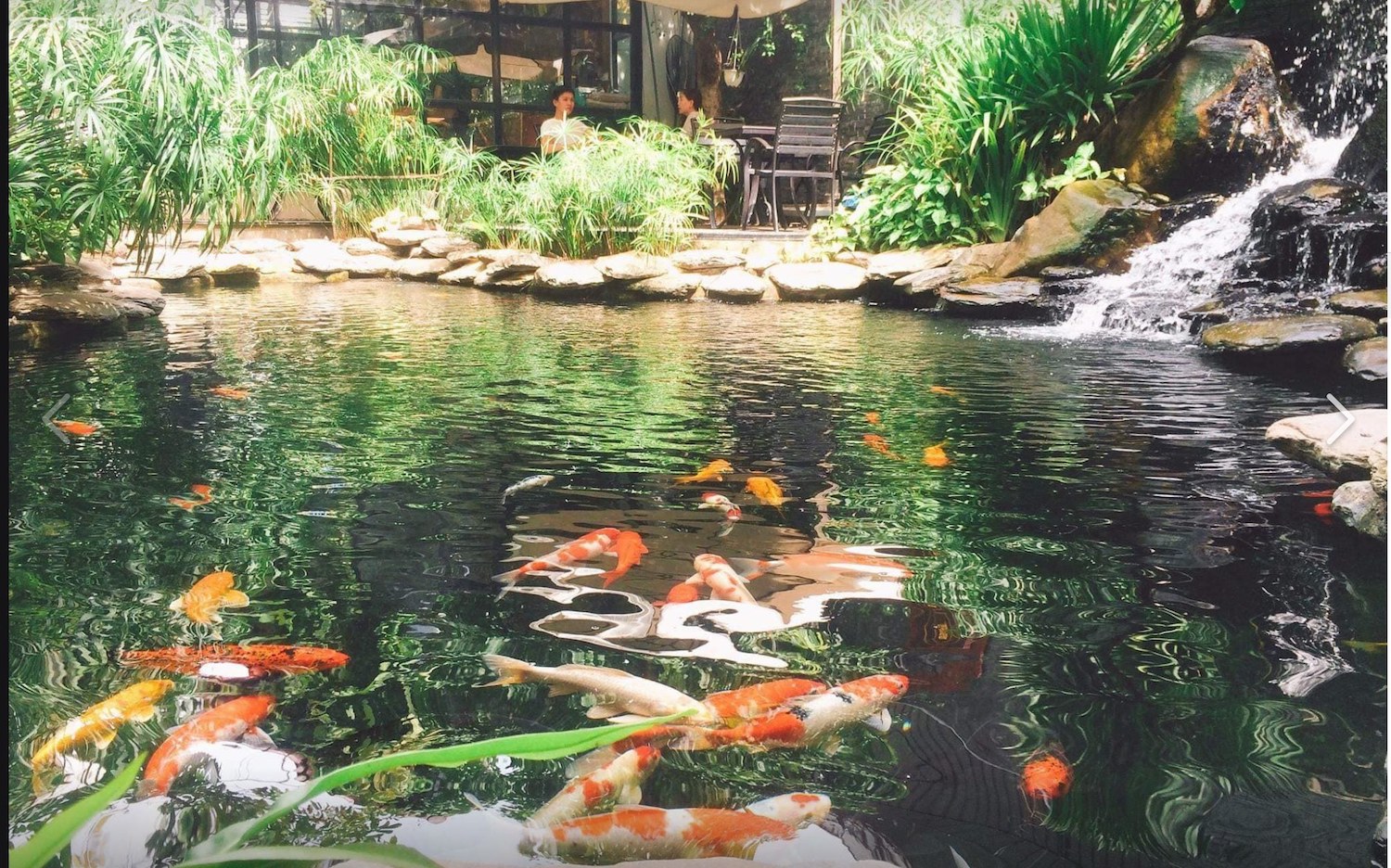 The Garden House Da Nang - Explore the green garden in the heart of Da Nang 8