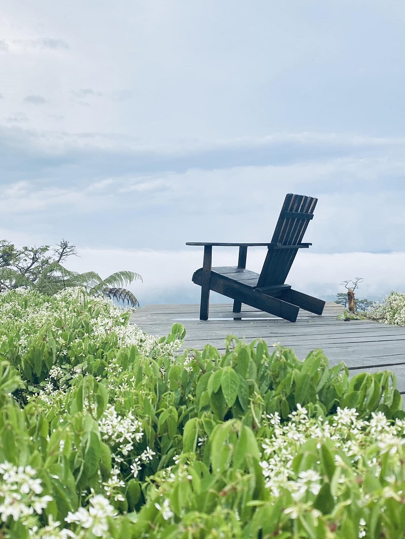 Visit Green Smoke Valley to see the whole city of Da Lat from above 9