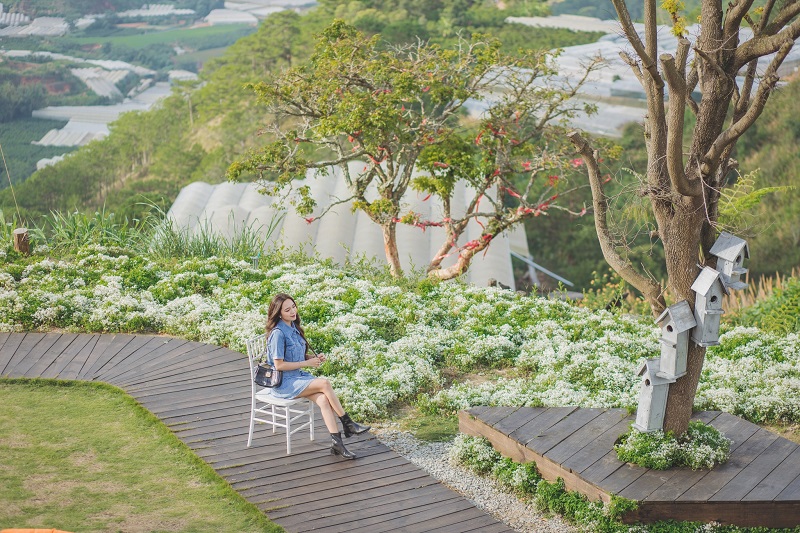 Visit Green Smoke Valley to see the whole city of Da Lat from 13 meters high