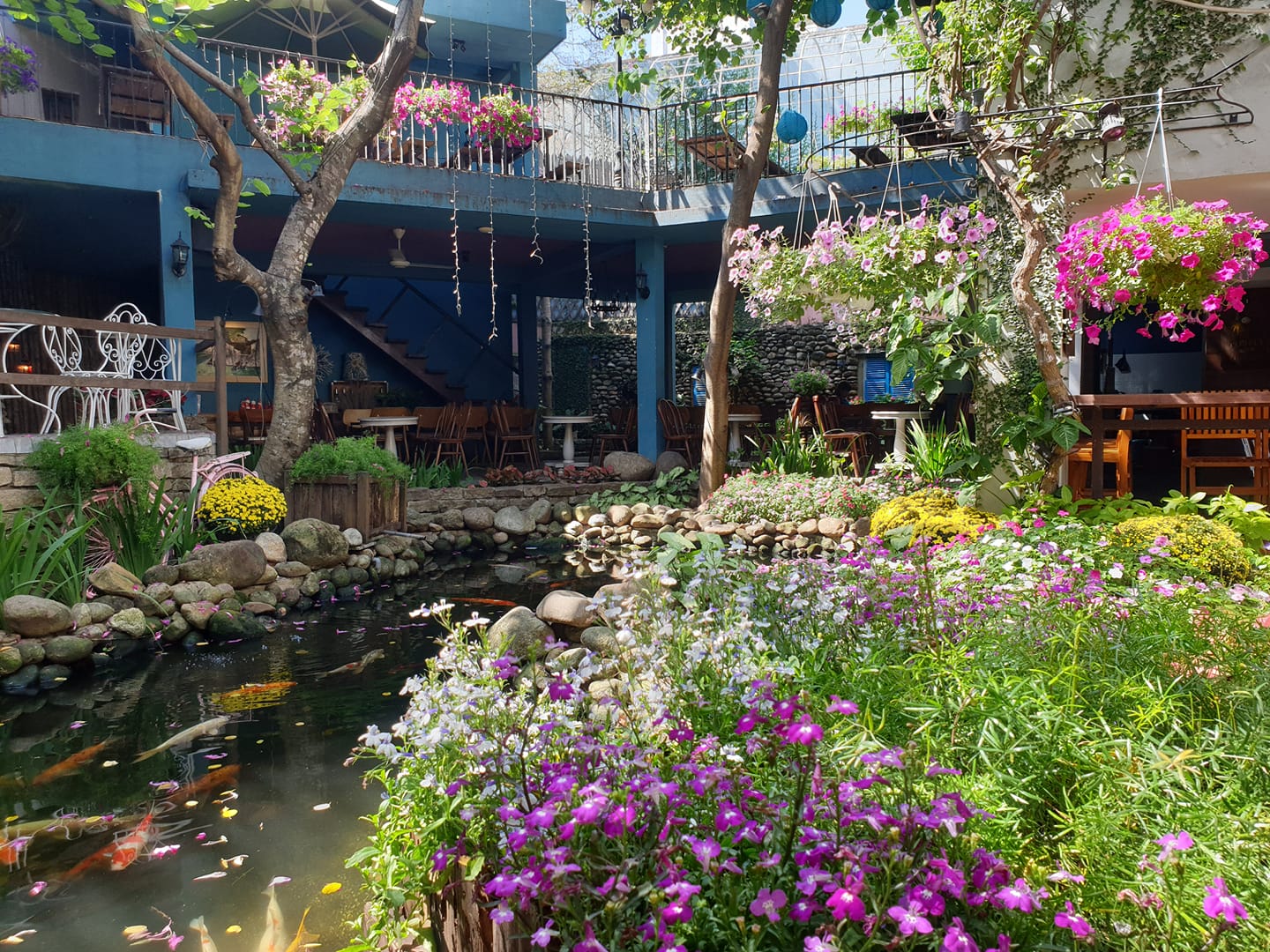 If you belong to the team that loves plants and trees, please save the top 4 amazing garden cafes in Da Nang right away 8
