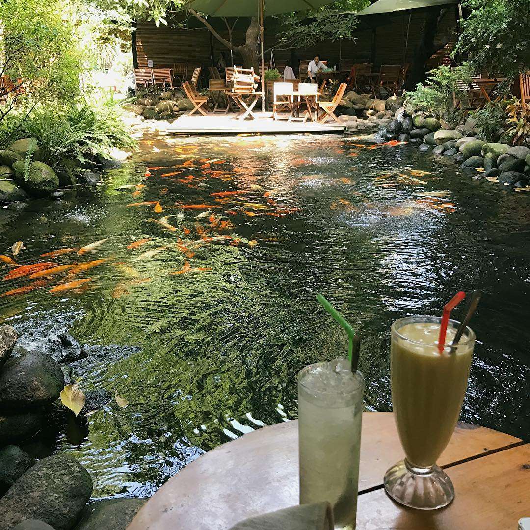 If you belong to the team that loves plants and trees, please save the top 4 amazing garden cafes in Da Nang right away 10