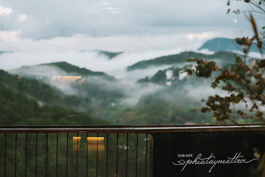 West Coffee Shop The sun has just appeared and it is already causing sadness 9