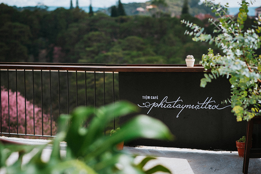 West Coffee Shop The sun has just appeared and it has already caused sadness 12