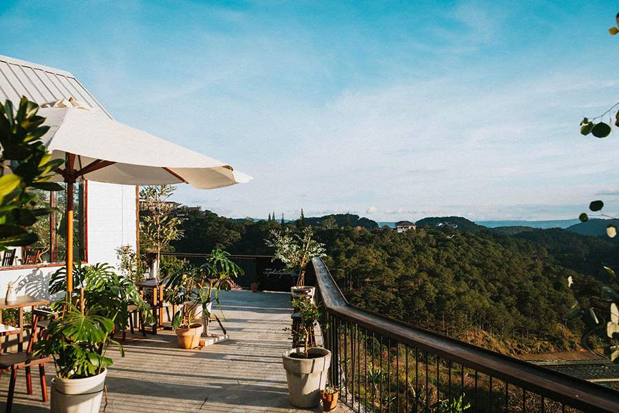 West Coffee Shop The sun has just appeared and it has already caused sadness 6