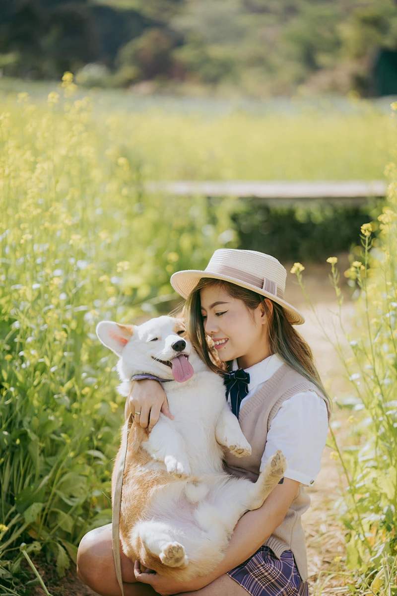 Forest Coffee Shop, an ideal destination for those looking for peace 6