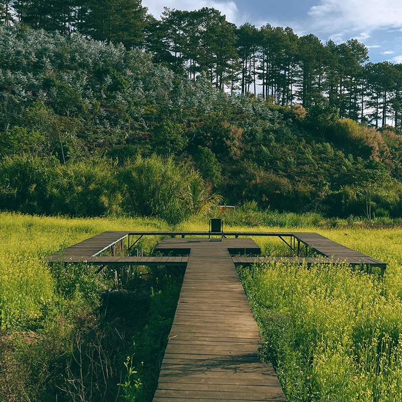 Forest Coffee Shop, an ideal destination for those looking for peace 5