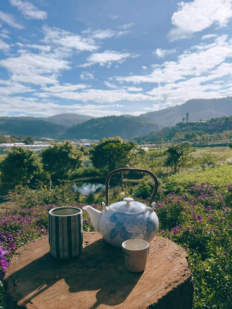 Forest Coffee Shop, an ideal destination for those looking for peace 20