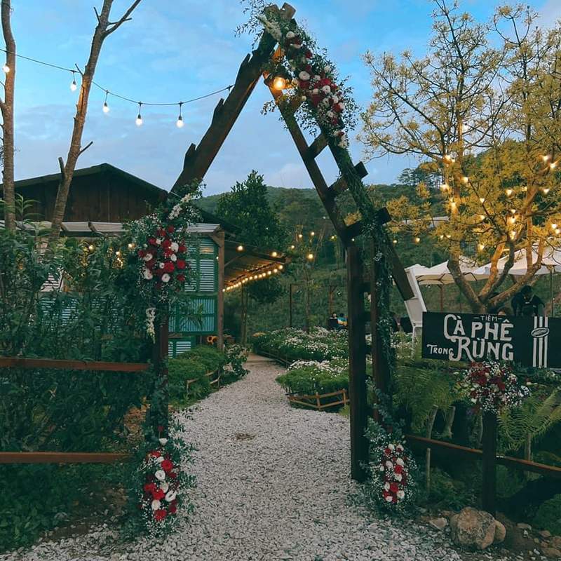 Forest Coffee Shop, an ideal destination for those looking for peace 3