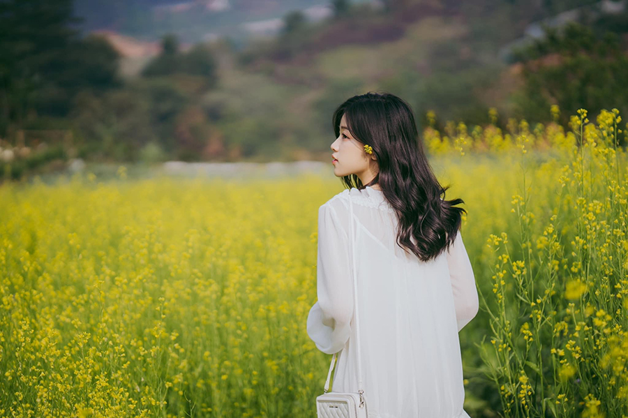 Forest Coffee Shop, an ideal destination for those looking for peace 13