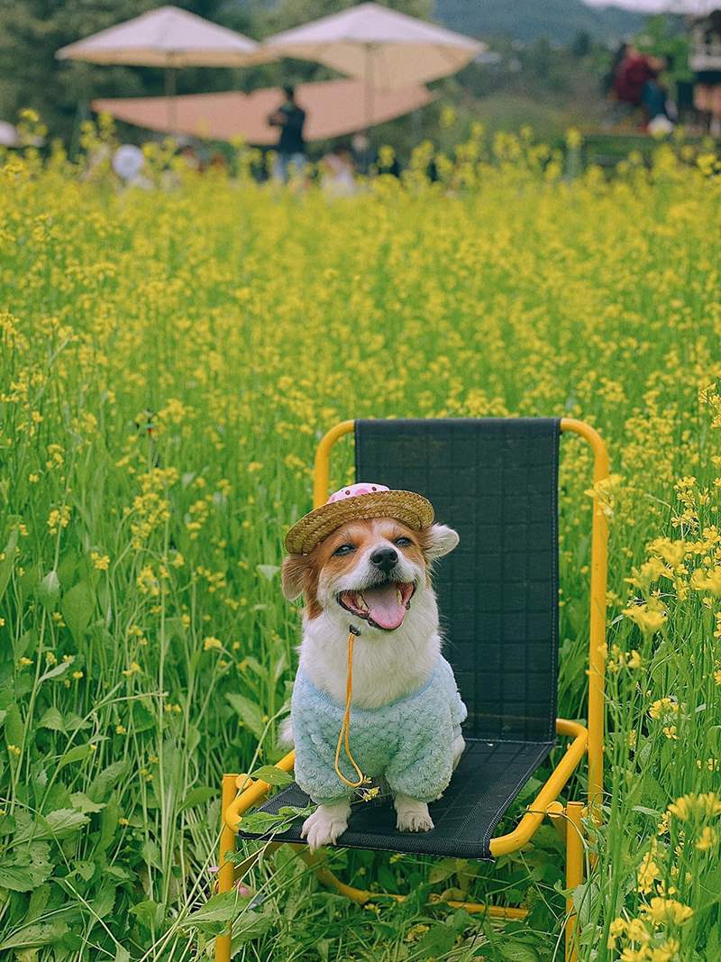 Forest Coffee Shop, an ideal destination for those looking for peace 7