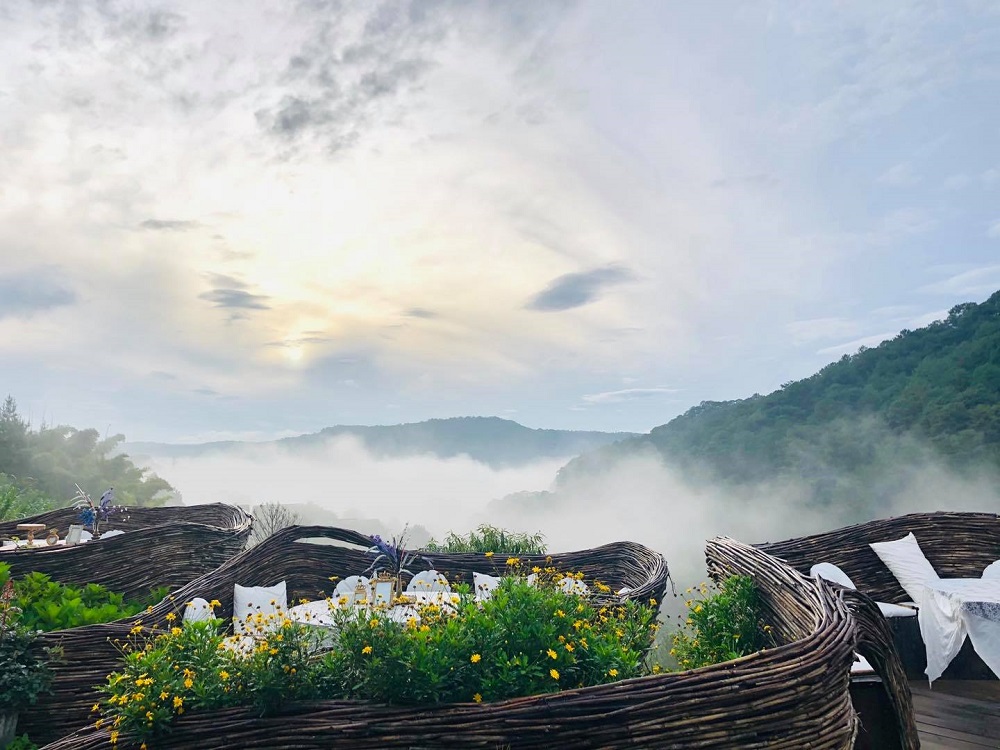 Da Lat Wonderland Coffee Shop - A beautiful virtual living paradise 3