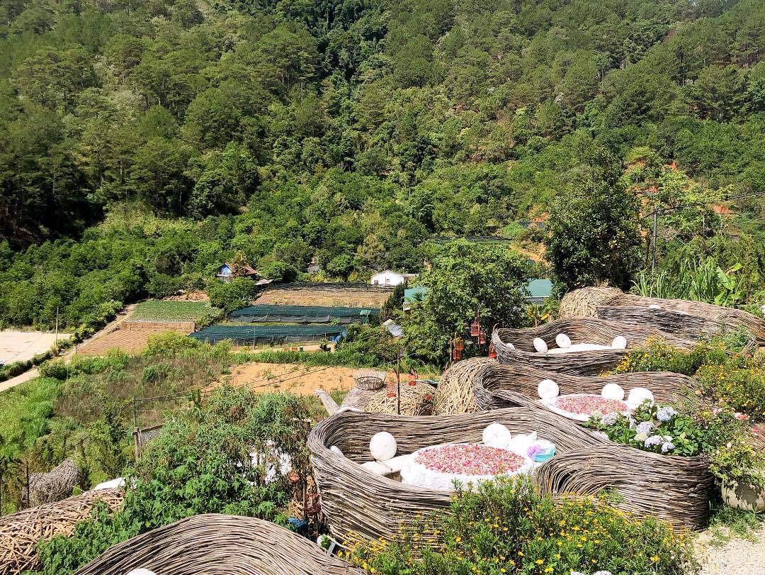 Da Lat Wonderland Coffee Shop - An enchanting virtual living paradise 7