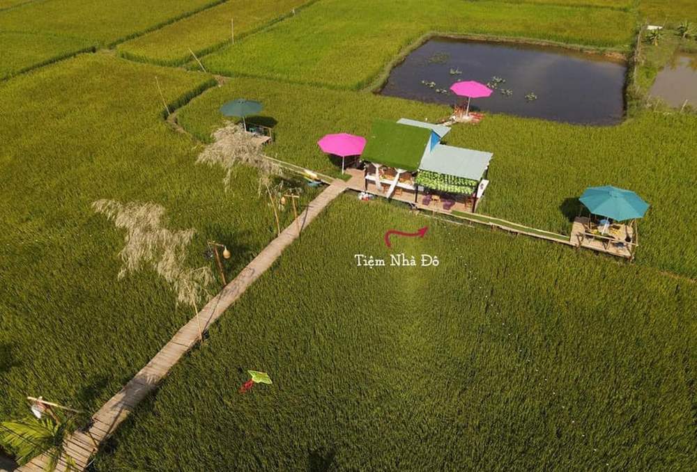 Nha Do Shop - Coffee shop in the middle of peaceful rice fields 2