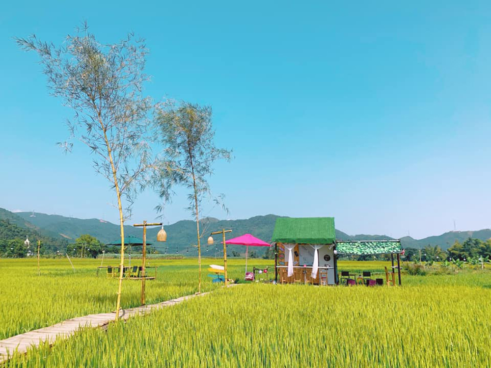 Nha Do Shop - Coffee shop in the middle of peaceful rice fields 3