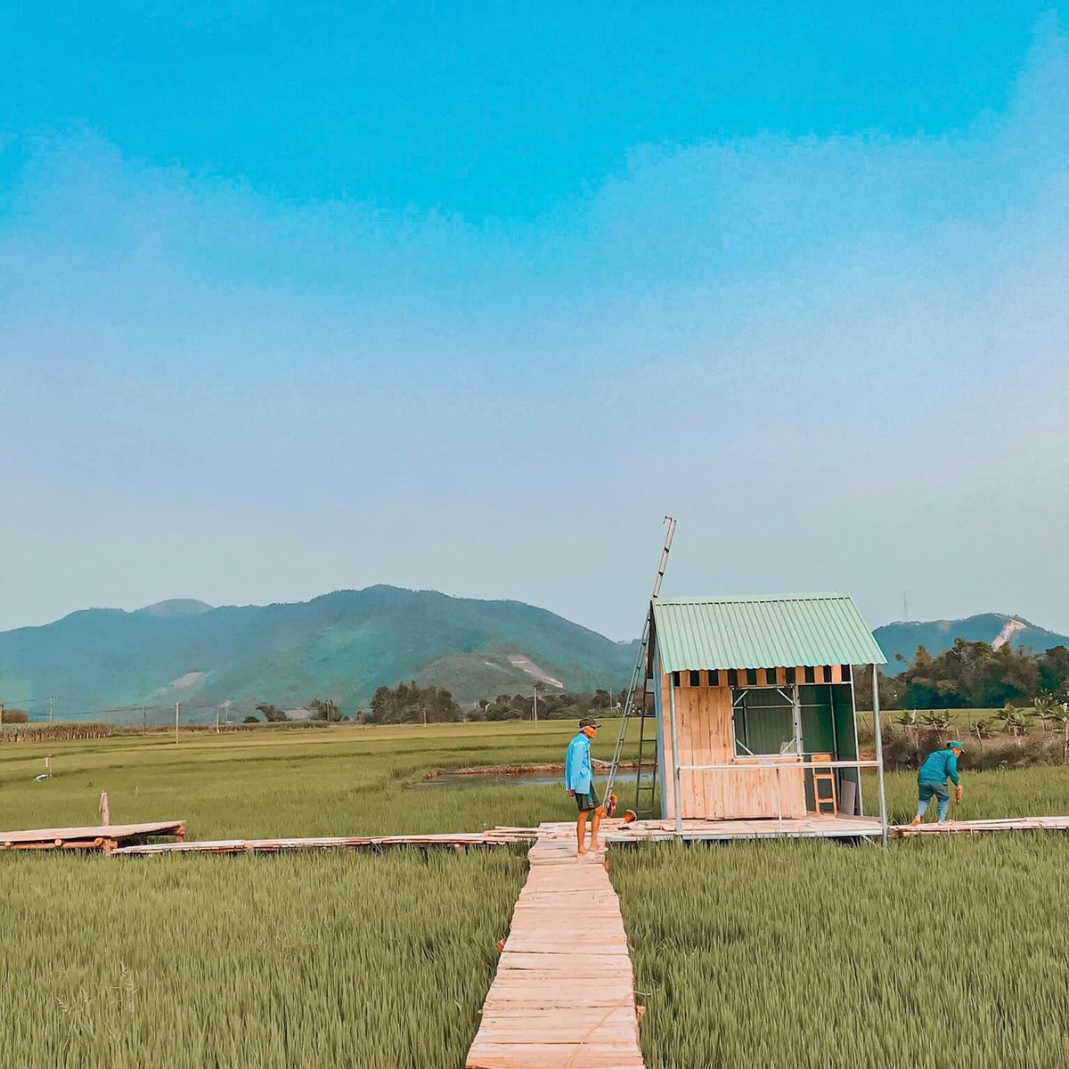 Nha Do Shop - Coffee shop in the middle of peaceful rice fields 5