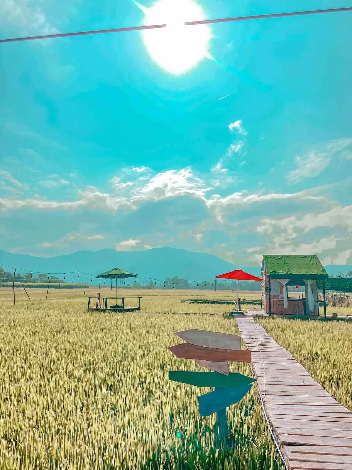 Nha Do Shop - Coffee shop in the middle of peaceful rice fields 4