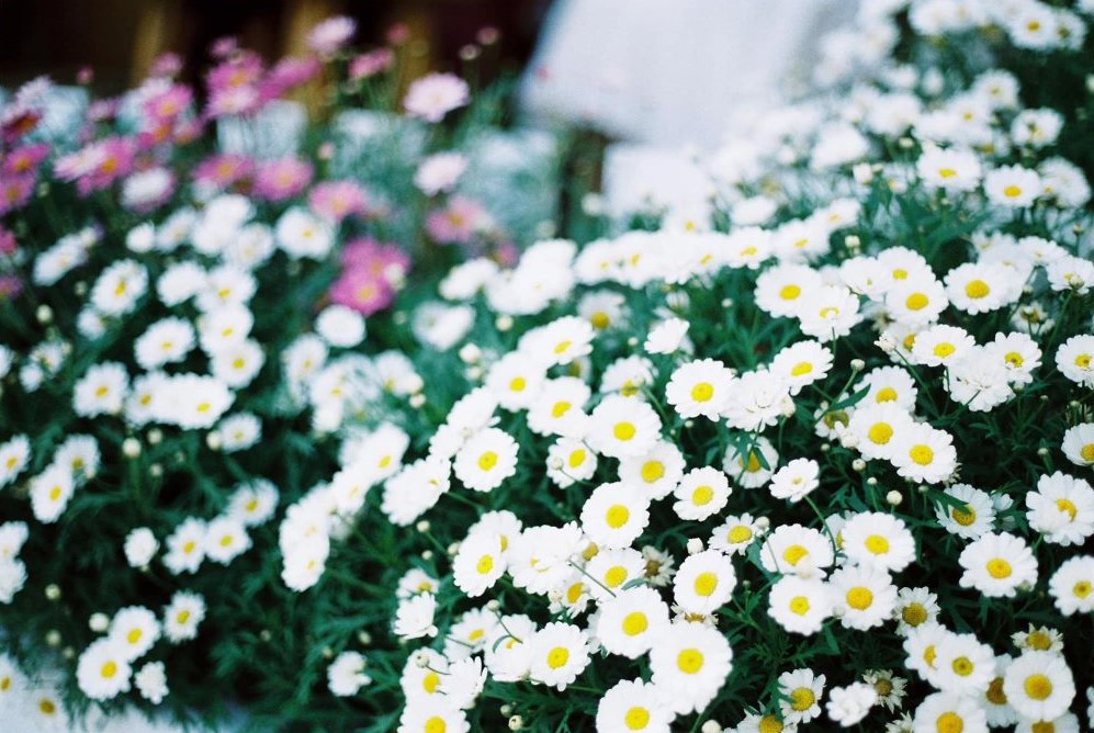 Nha La Tra Shop - A lovely stop for tea lovers 5