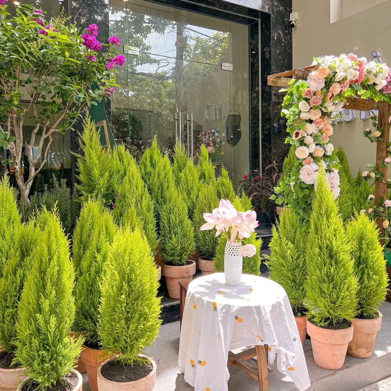 April Tea Shop, a place to avoid the heat in bustling Saigon 6
