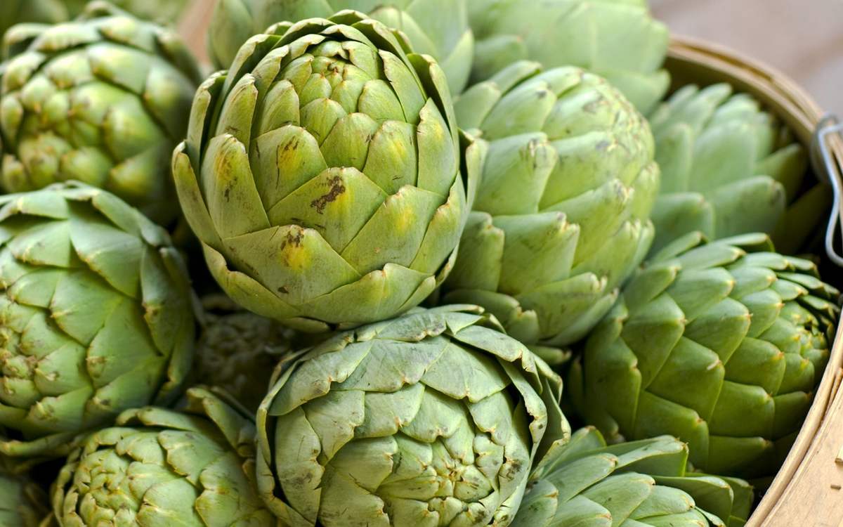 Learn from A to Z about Da Lat Artichoke 2
