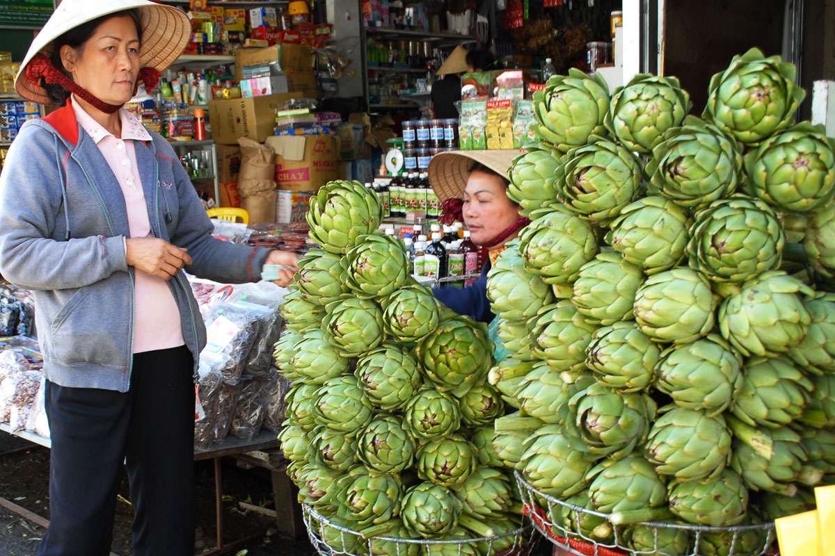Learn from A to Z about Da Lat Artichoke 8