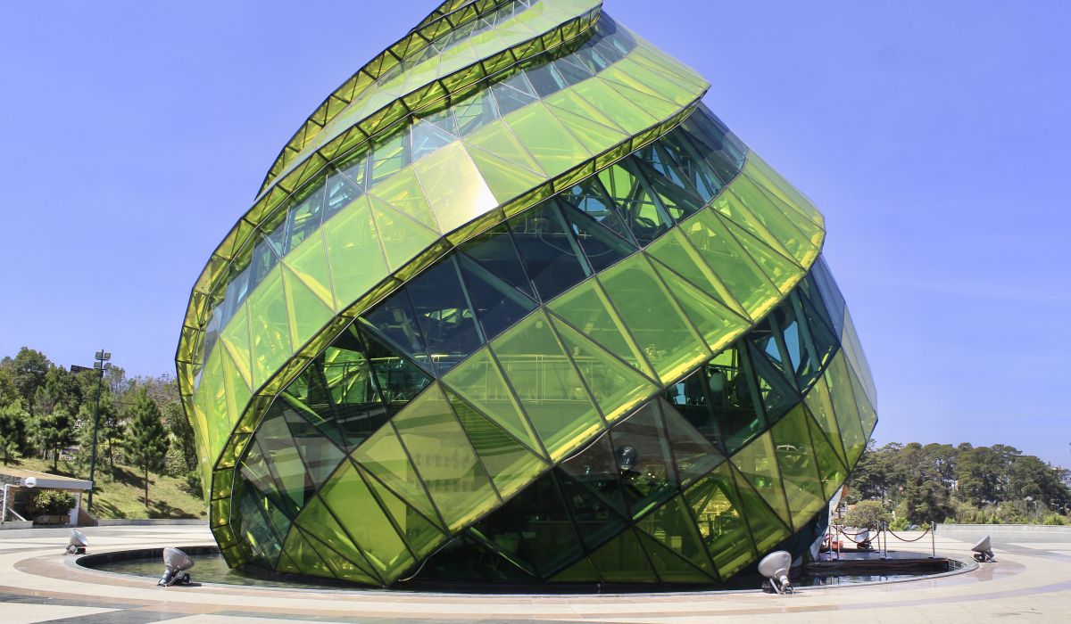 Learn from A to Z about Da Lat Artichoke 5