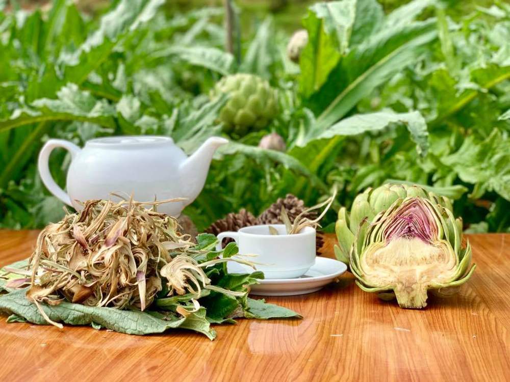 Learn from A to Z about Da Lat Artichoke 7