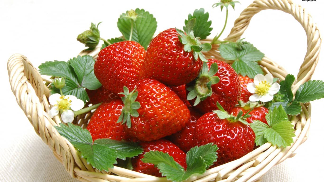 Top 10 places to buy the best strawberries in Da Lat 4