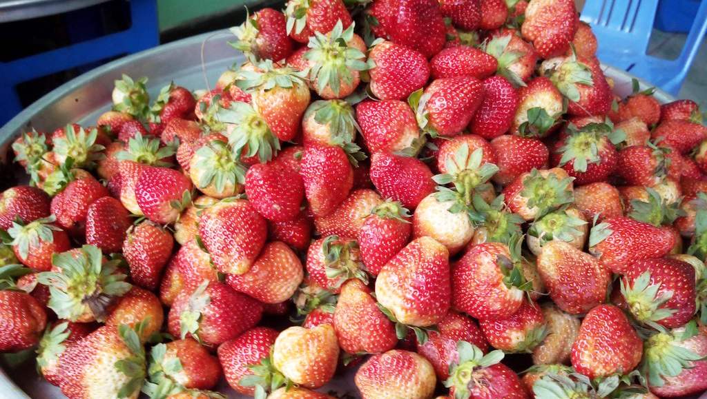 Top 10 places to buy the best strawberries in Da Lat 9