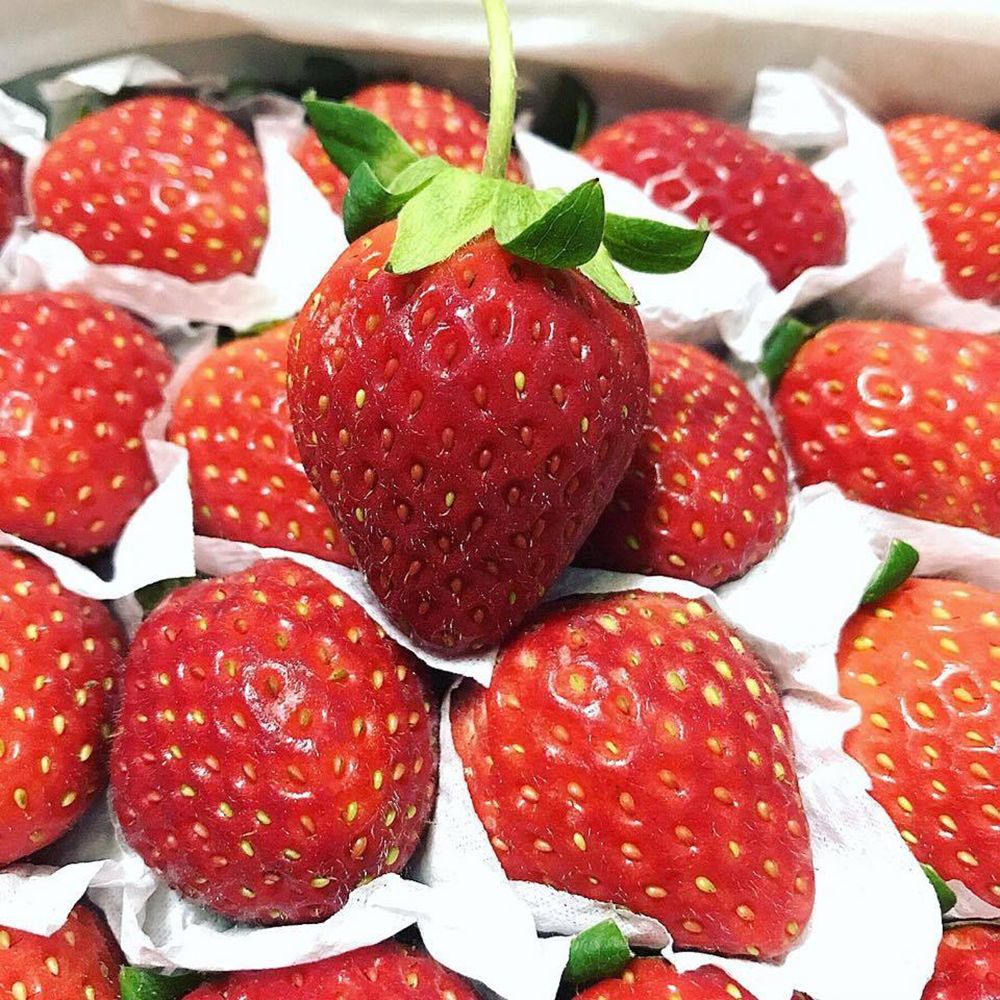 Top 10 places to buy the best strawberries in Da Lat 11