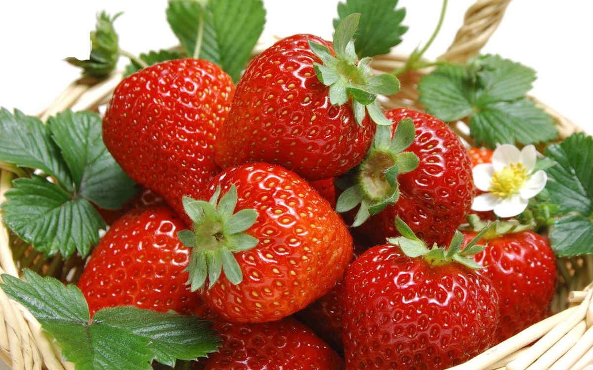 Top 10 places to buy the best strawberries in Da Lat 6