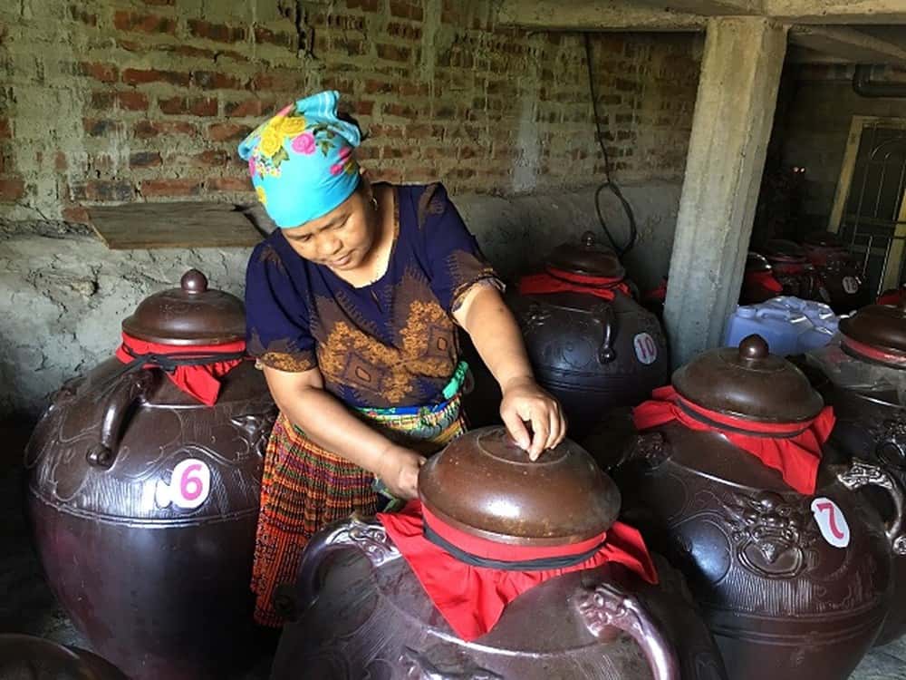 Top 5 Sapa wines worth enjoying when traveling to the Northwest 3