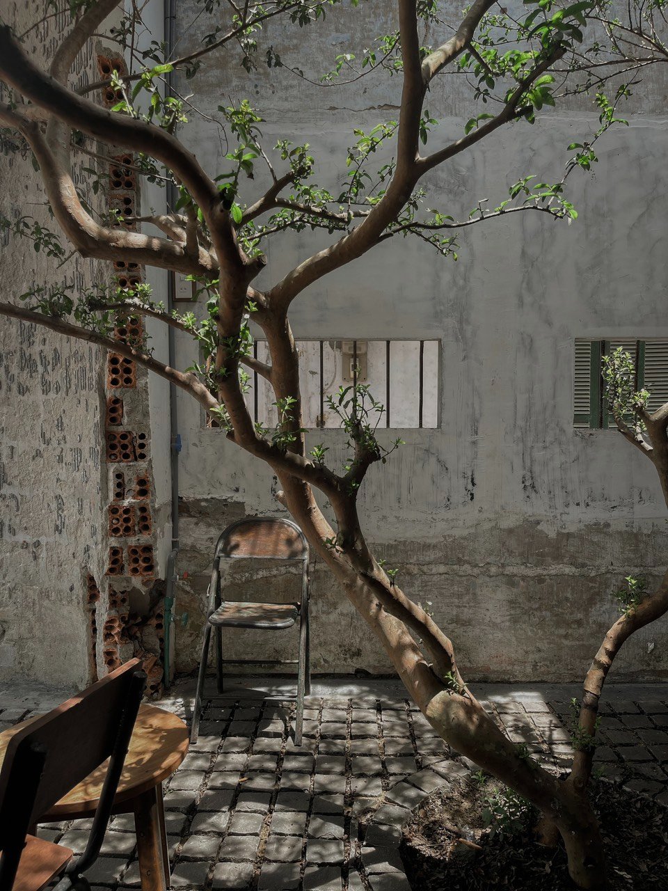 Top 6 coffee shops in Hue with beautiful, impressive spaces 2