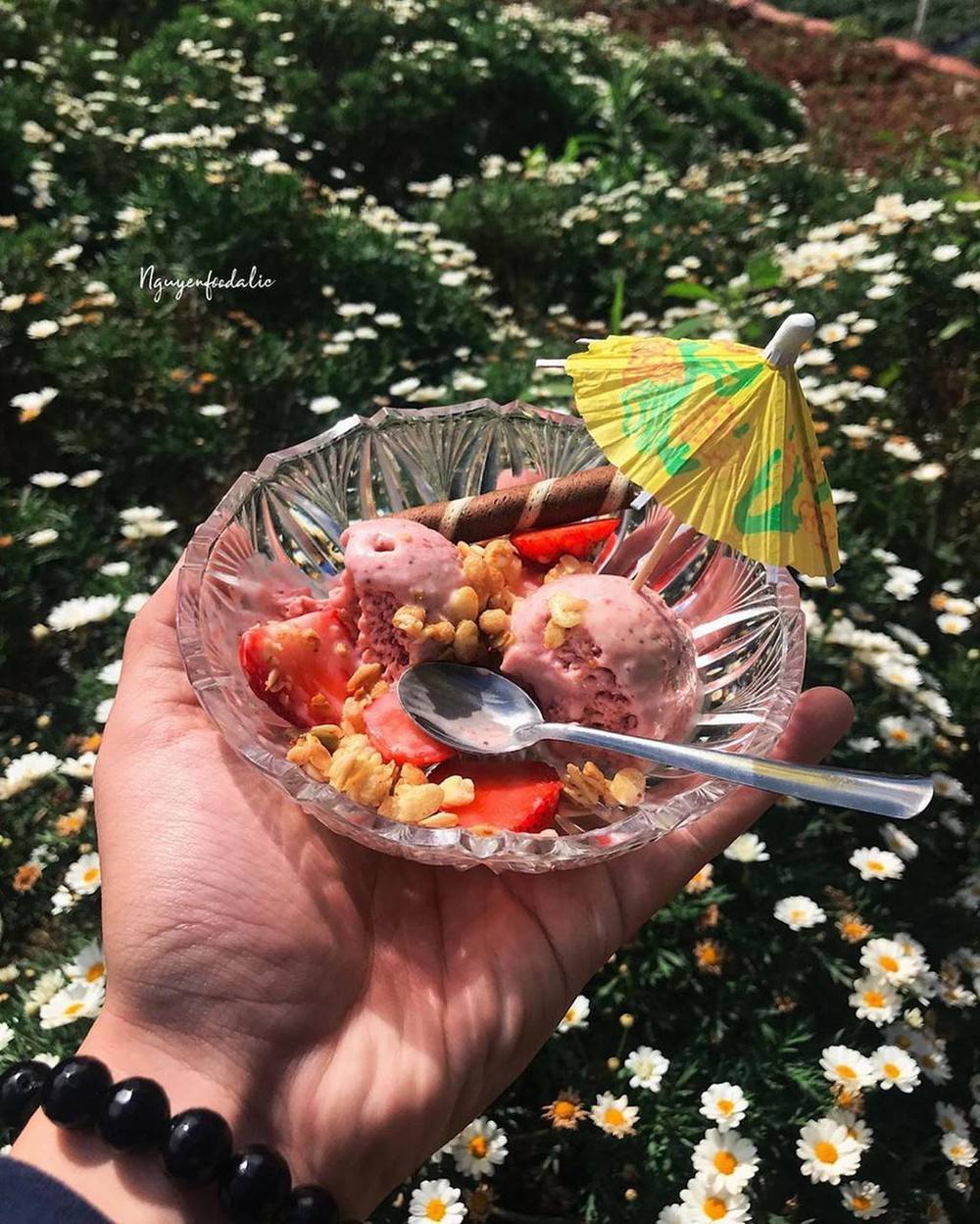 Top extremely attractive Da Lat snacks you should not miss 3