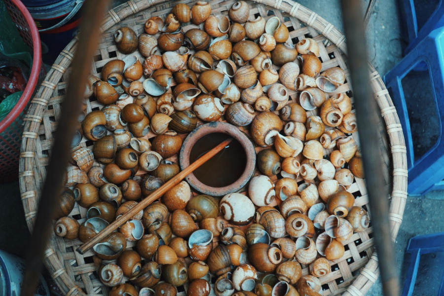 Experience Hanoi's famous Bau cold snail noodle soup 4