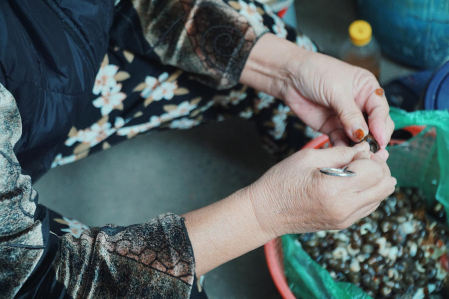 Experience Hanoi's famous Bau cold snail noodle soup 6