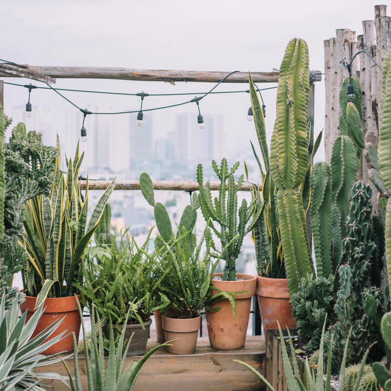 Go to New Moon Rooftop to admire the view of Saigon at night from 10 meters above