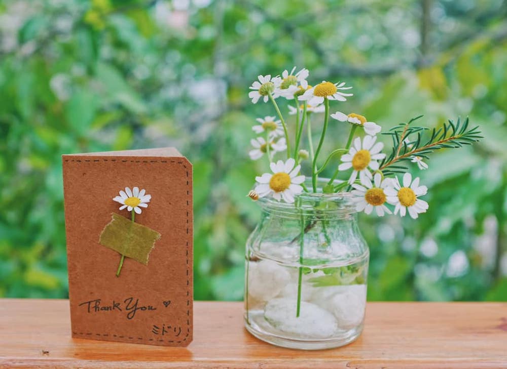 Falling in love with the Japanese style of Midori Sweets 3