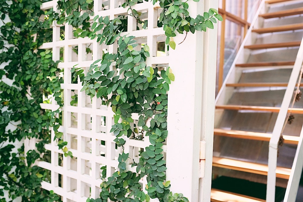 Falling in love with the Japanese style of Midori Sweets 23