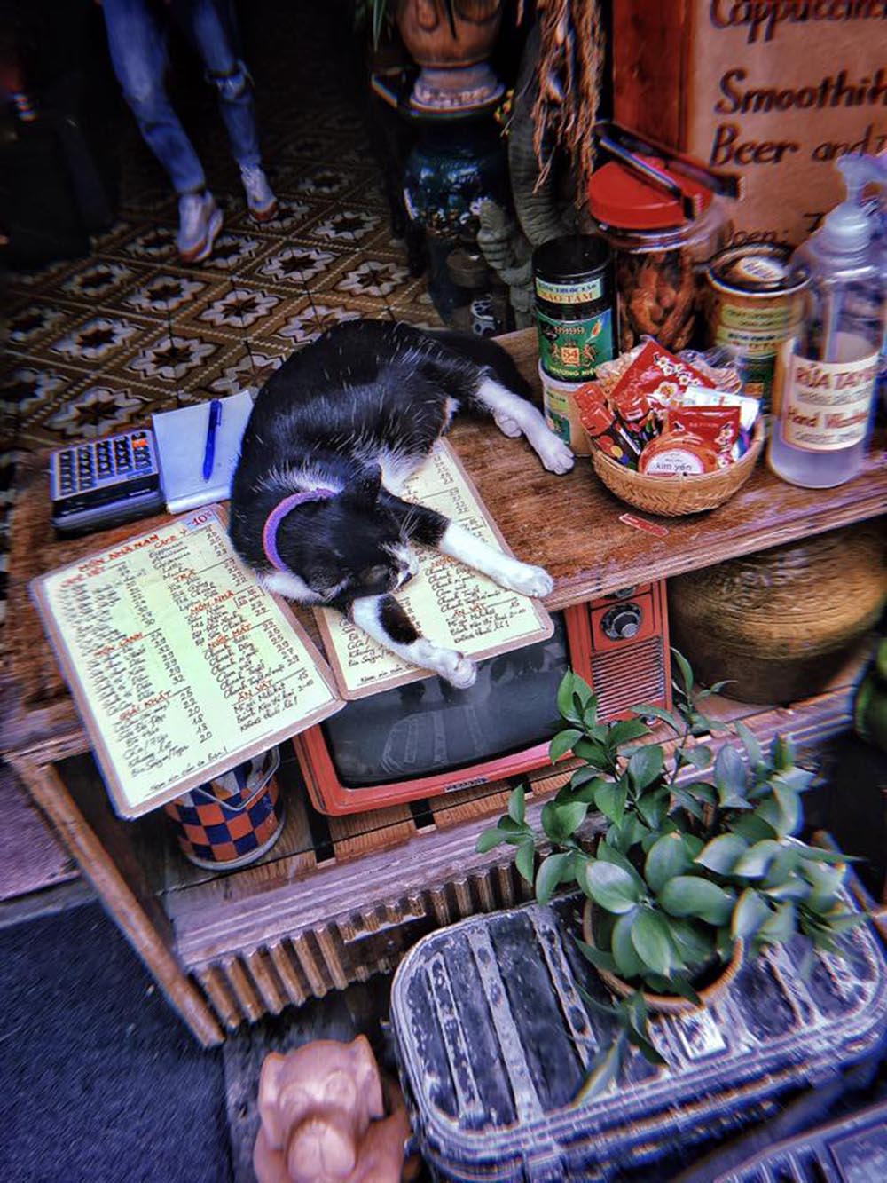 Return to quiet cafes in Da Nang to find some peace amid the chaos and worries of life 17